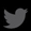 twitter-icon